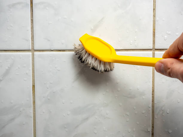 Best Preventive Mold Services in Pierson, FL