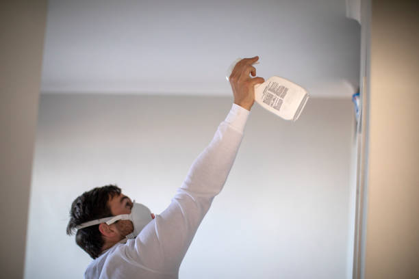 Best Residential Mold Remediation in Pierson, FL